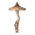 Load image into Gallery viewer, Gilded Champagne Mushroom Premium christmas glass ornament 2024-189
