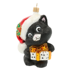 Onyx Present Cat