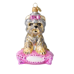 Blush Princess Yorkie