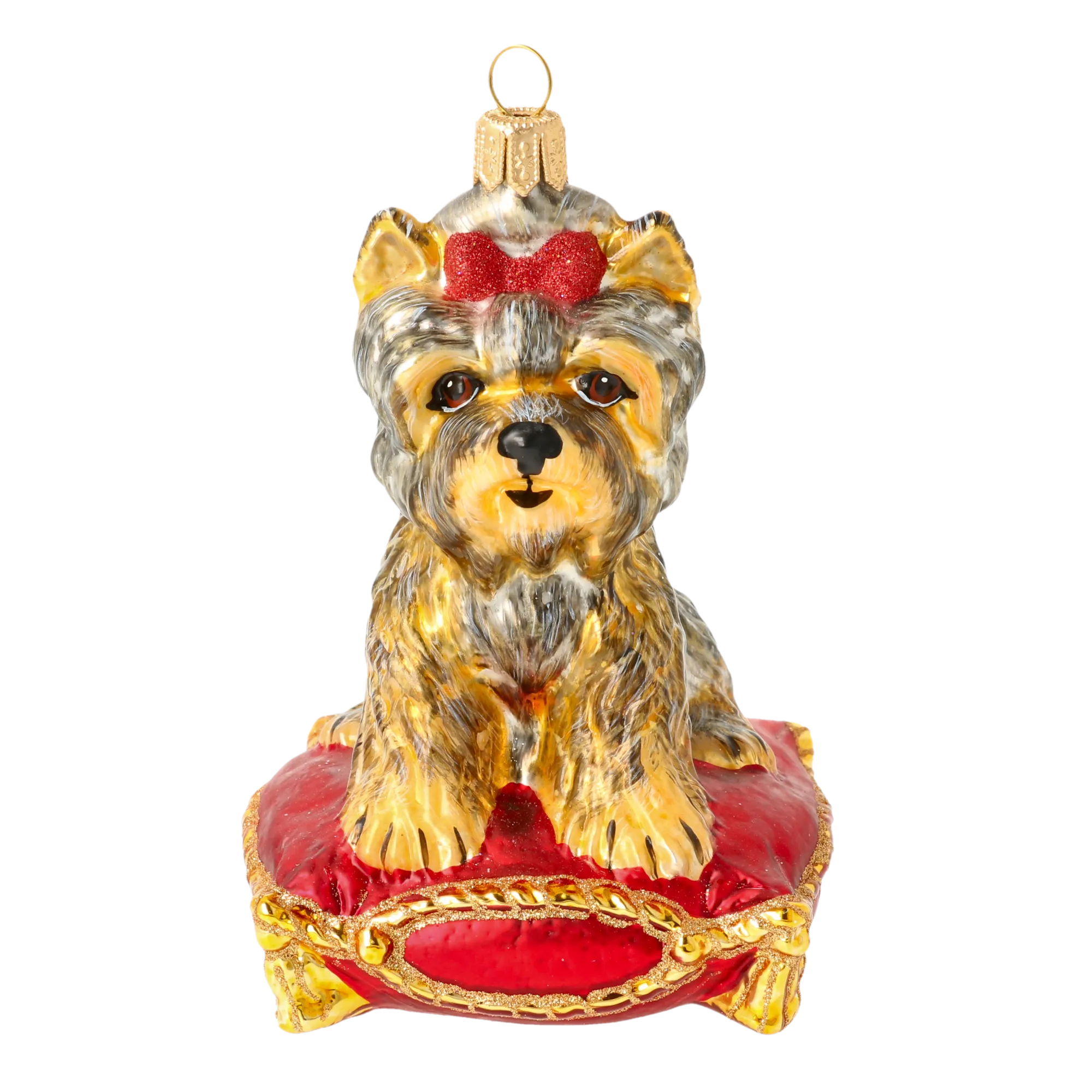 Ruby Princess Yorkie