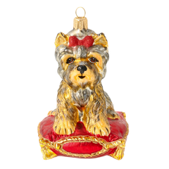 Ruby Princess Yorkie