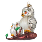 Silver Owl Family