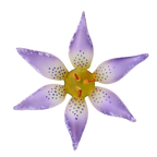 Speckled Twilight Bloom | Hand-Painted Glass Ornament | Blubom 2020-490