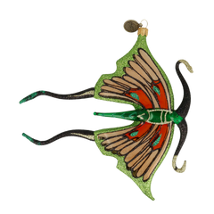 Jade & Ember Butterfly in Flight
