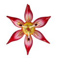Sovereign Crimson Radiance | Hand-Painted Glass Ornament | Blubom 2021-031