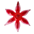 Załaduj obraz do przeglądarki galerii, Crimson Stargazer Lily Premium christmas glass ornament 2021-031
