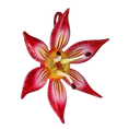 Załaduj obraz do przeglądarki galerii, Crimson Stargazer Lily Premium christmas glass ornament 2021-031
