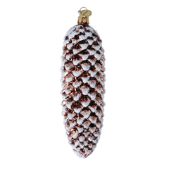 Slender Pinacone in Winter Copper