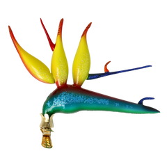 Tropical Flame Flower in Citrus