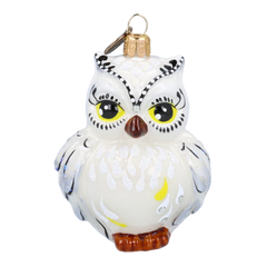 Gold-Eyed Plump Owl