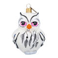 Load image into Gallery viewer, Snowy Dreamer Owl Premium christmas glass ornament 2022-049
