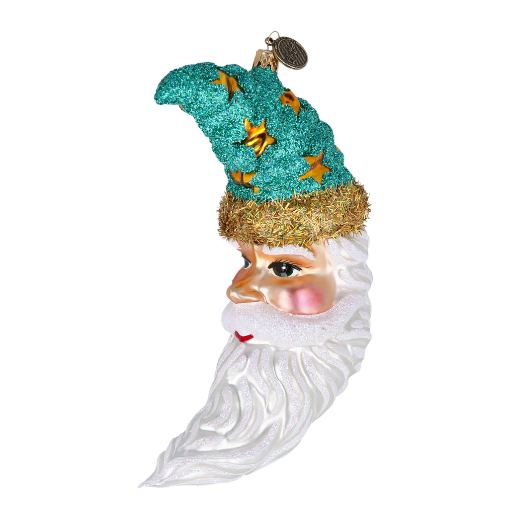 Nocturnal Star Sentinel | Hand-Painted Glass Ornament | Blubom 2022-091