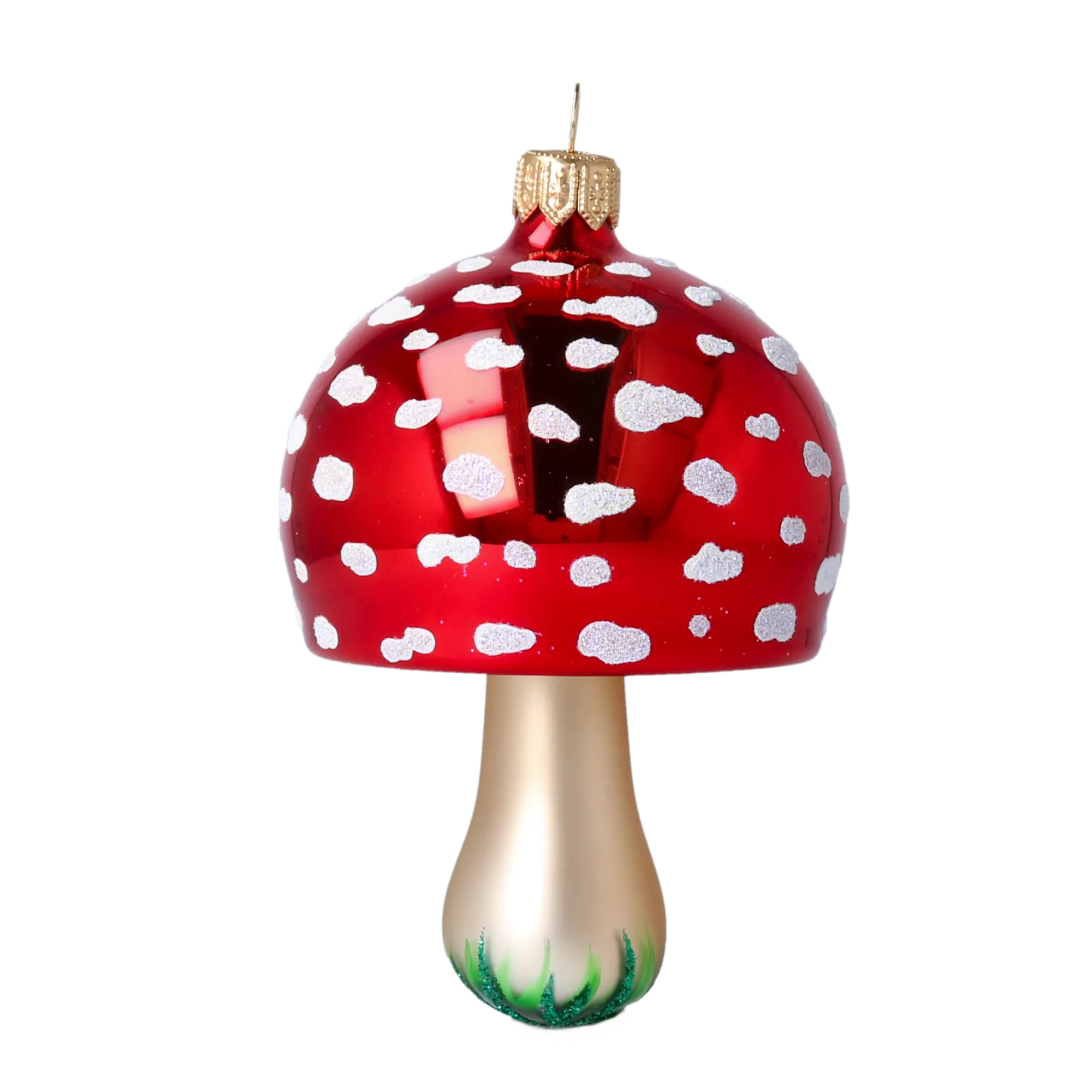 Glossy Toadstool Domed Mushroom