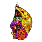 Sly Midnight Sojourn | Hand-Painted Glass Ornament | Blubom 2022-399