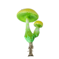 Załaduj obraz do przeglądarki galerii, Fairytale Mushroom with Ladybug. Handmade Glass Christmas ornament. 2022-413
