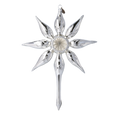Silver Midnight Silence | Hand-Painted Glass Ornament | Blubom 2022-480