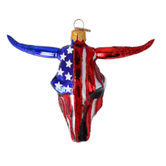 USA Longhorn on Display