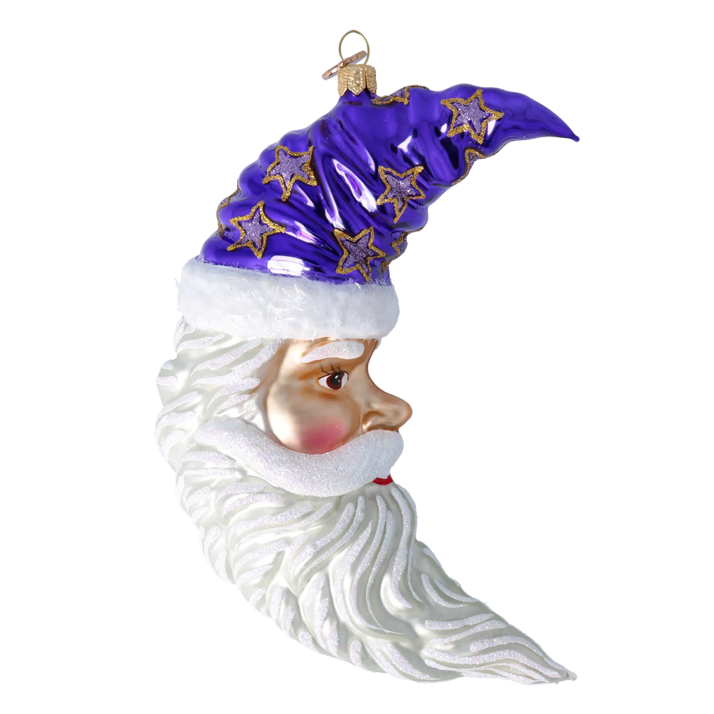 Serene Midnight Voyager | Hand-Painted Glass Ornament | Blubom 2024-258