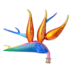 Tropical Flame Flower in Sunset in Jewel Tones